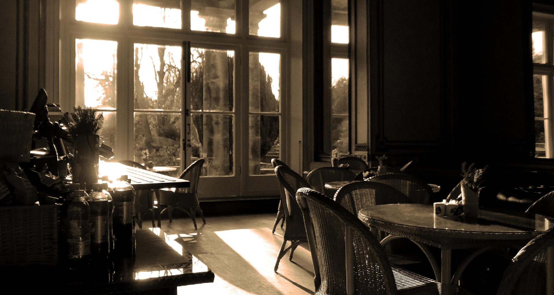 [NT] Biddulph Grange, tea room. Stoke-on-Trent.