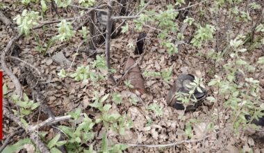 Dozens of explosives neutralized in northern Duhok district