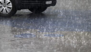 Pollen has greater weather impact than assumed: Swiss research