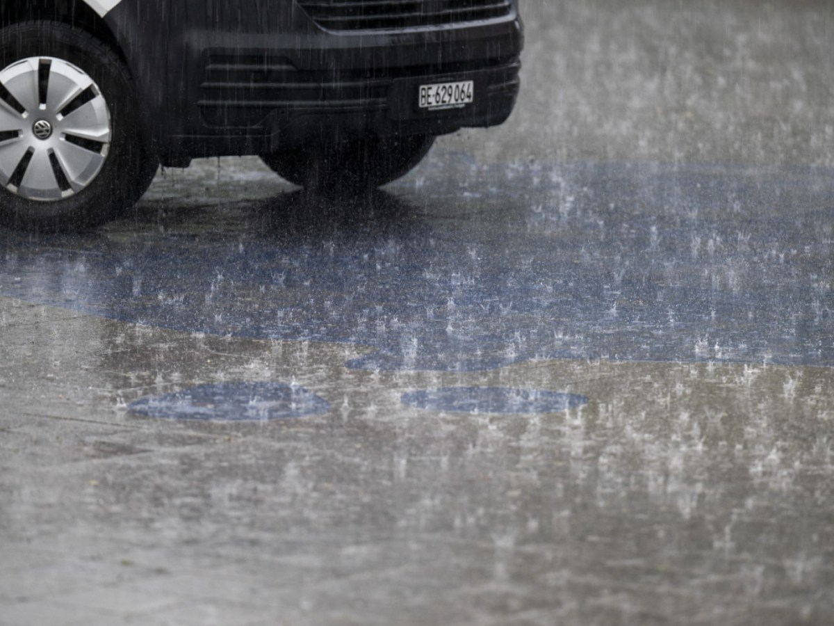 Pollen has greater weather impact than assumed: Swiss research