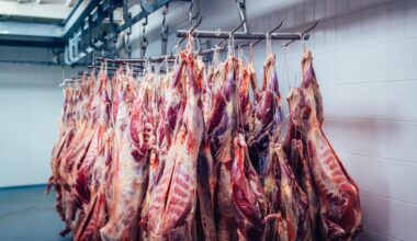 Les Suisses ont déjà mangé «trop de viande» en 2025