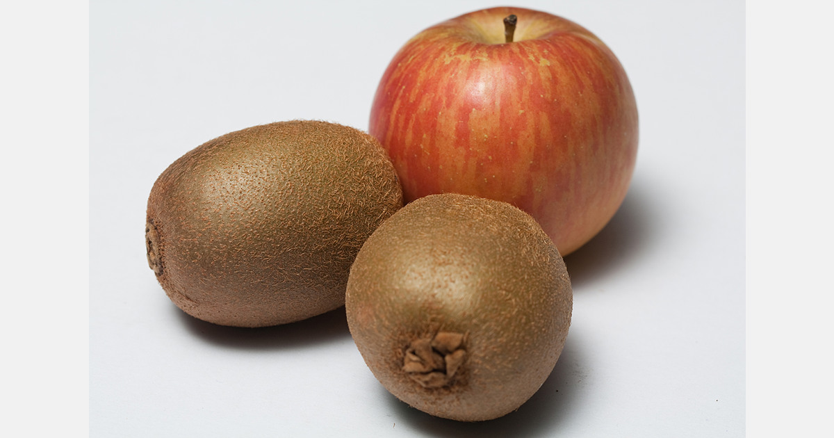 New Zealand fruit exports rise with kiwifruit and apples