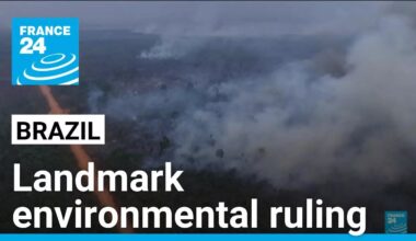 Judge orders seizure of land in illegal deforestation cases in Brazil • FRANCE 24 English