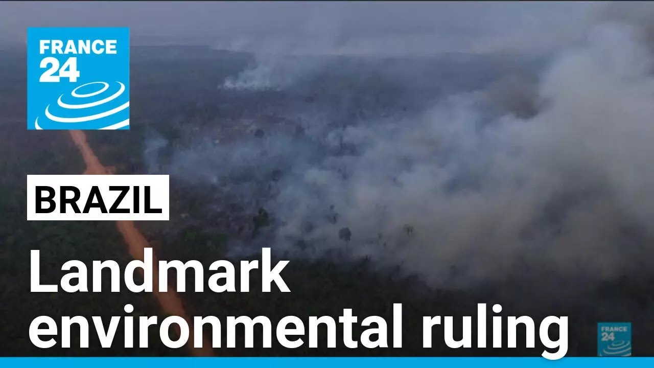 Judge orders seizure of land in illegal deforestation cases in Brazil • FRANCE 24 English