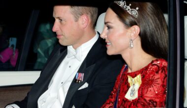Why Kate Middleton and Prince William don't wear seatbelts - unlike most royals