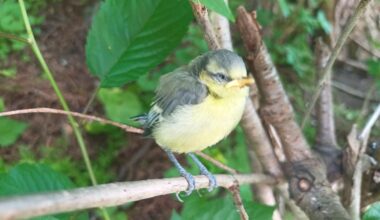Neulich auf dem Heimweg