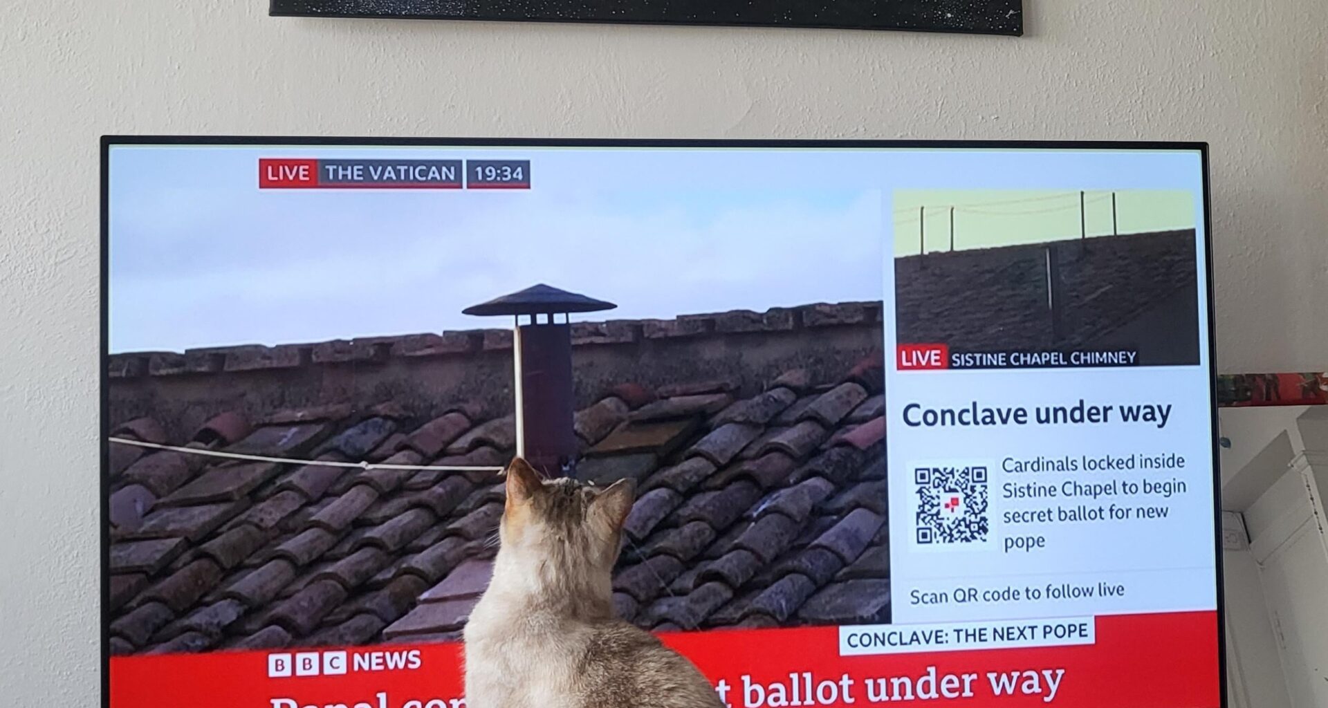 Turns out the cat is a Catholic