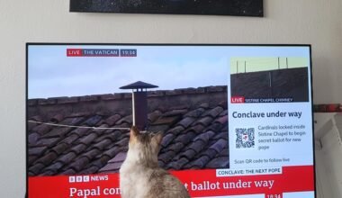 Turns out the cat is a Catholic