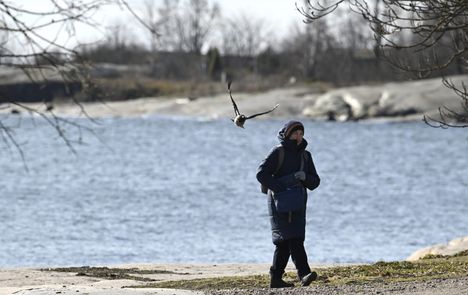 Kolea kevätsää jatkunee vielä tällä viikolla.