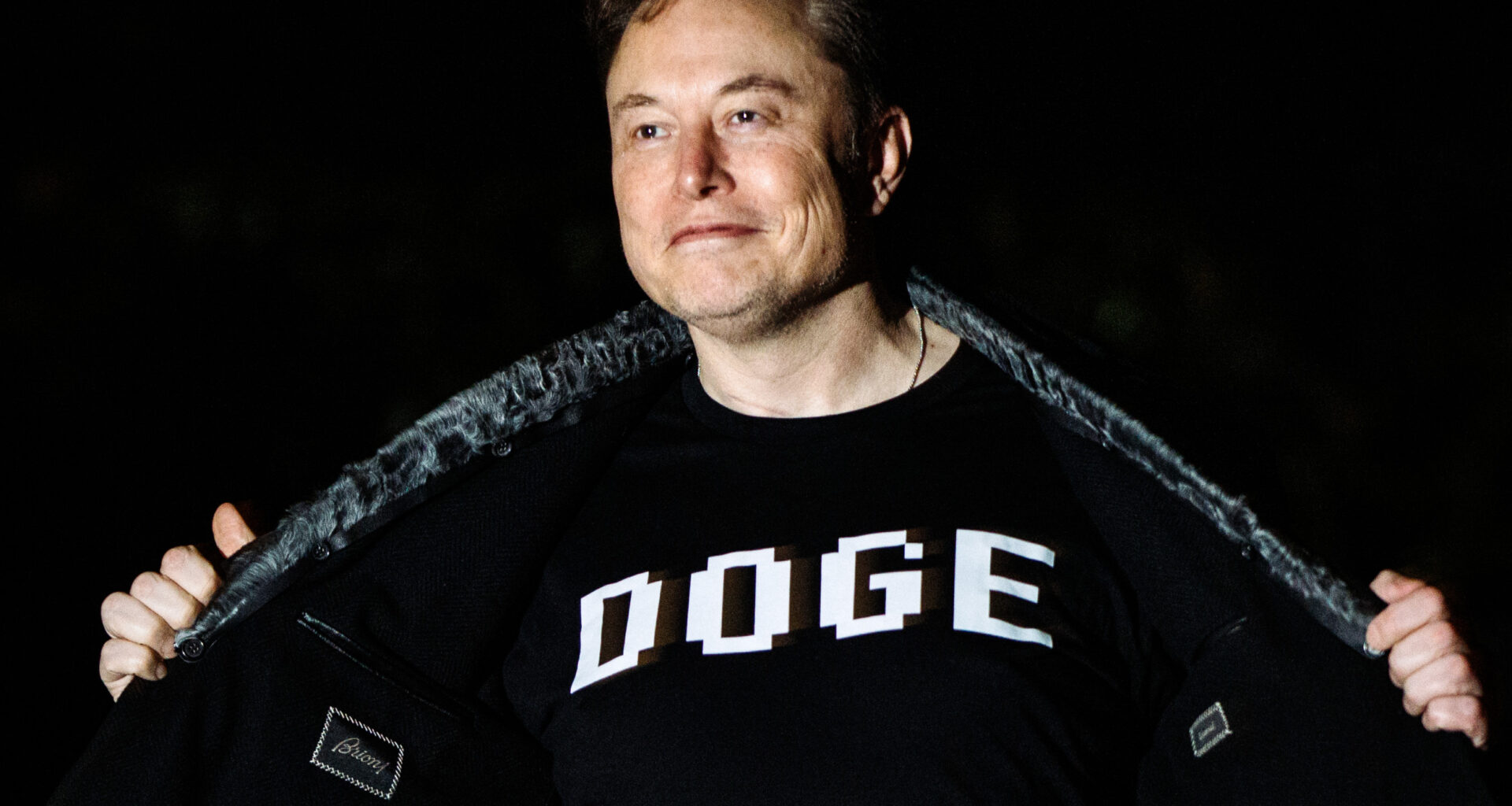 Elon Musk DOGE