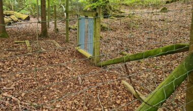 Spotted this on a walk in Keswick — anyone know what it is?