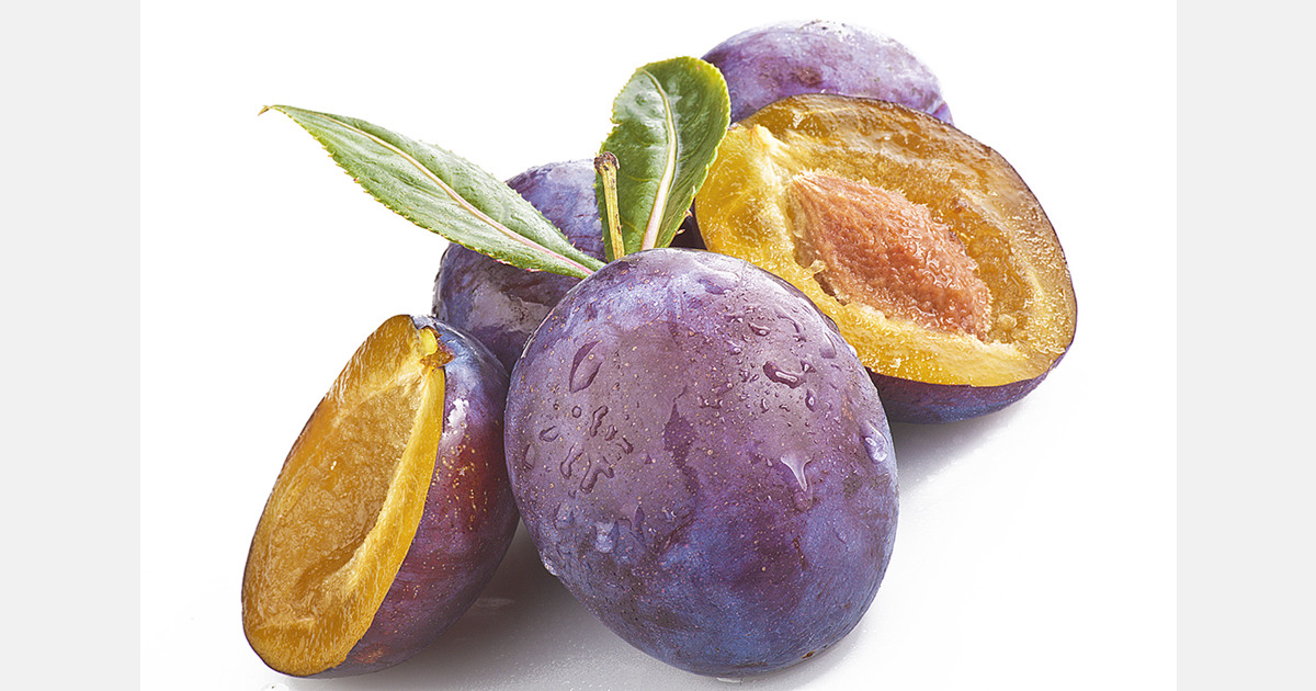 Moldova expects good early plum harvest despite frosts