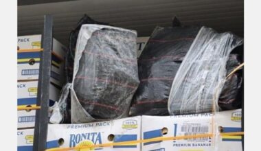 Croatia seizes 85 kg of cocaine in banana shipment