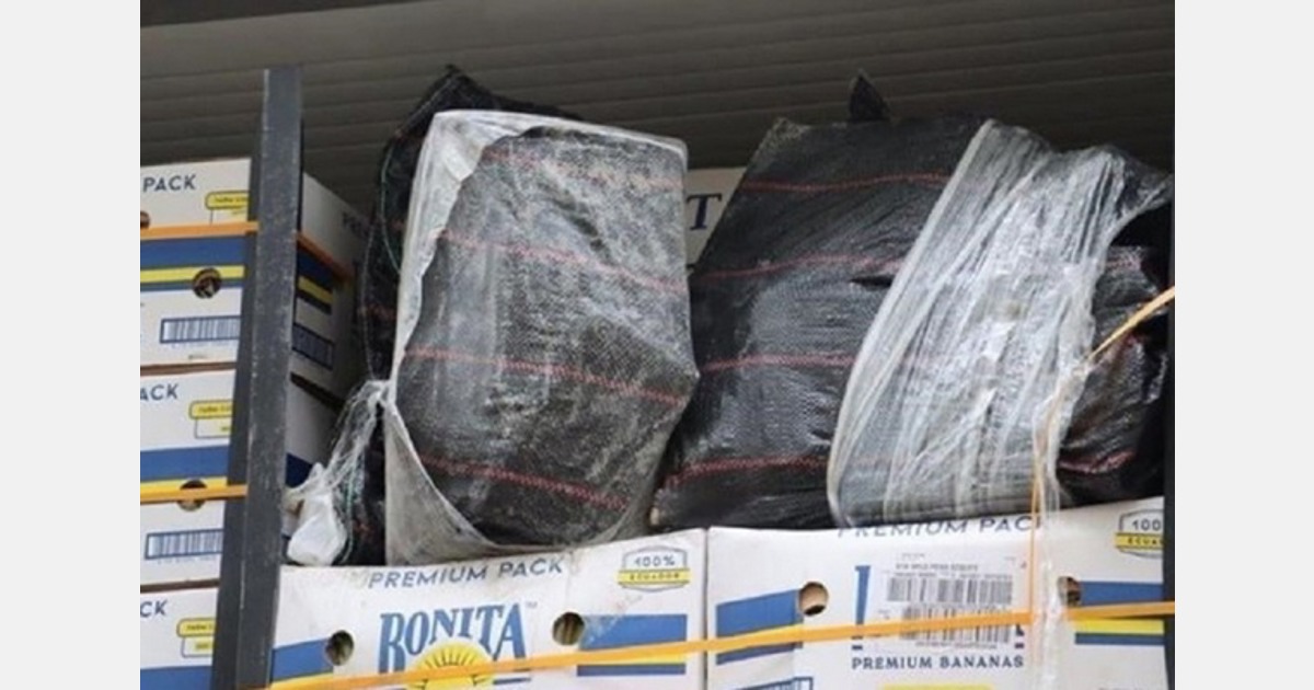 Croatia seizes 85 kg of cocaine in banana shipment