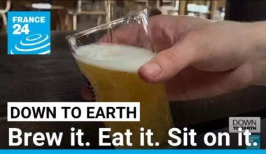 🌟The Bright Side: Beer waste? You might be eating it or sitting on it! • FRANCE 24 English