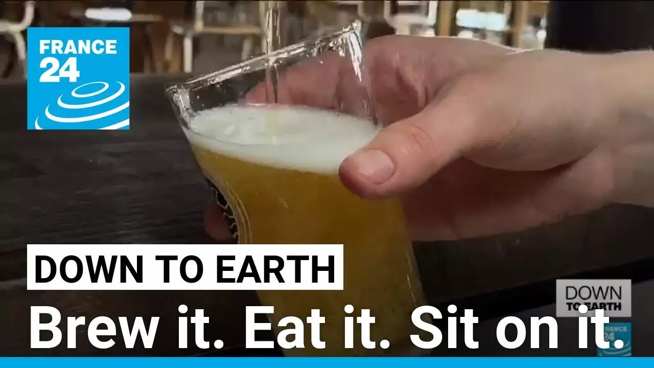 🌟The Bright Side: Beer waste? You might be eating it or sitting on it! • FRANCE 24 English