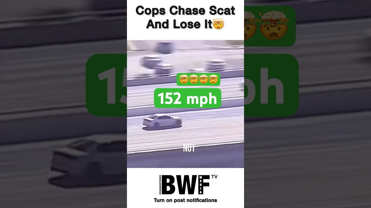 Cops Chase Scat And Lose It🤯
