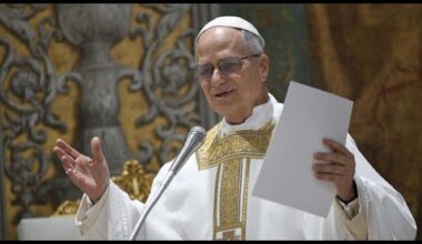Continuidad o cambio: ¿qué camino tomará la Iglesia con León XIV? • FRANCE 24 Español