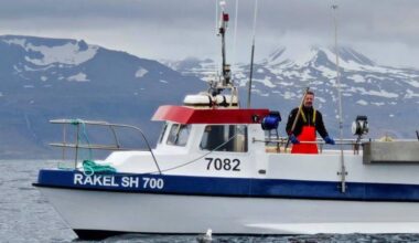 Couple fishing in harmony off the coast of Ólafsvík