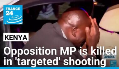 Kenyan opposition MP is killed in 'targeted and premeditated' shooting • FRANCE 24 English