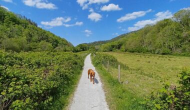Llanerchaeron to Aberaeron this afternoon. Walking the dog to the beach