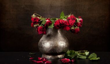 Tariffs Are Wilting Your Mother’s Day Flowers: Here’s How