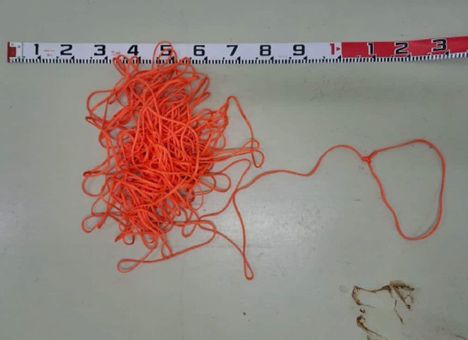 Miehen autosta löytyi muun muassa köysiä.