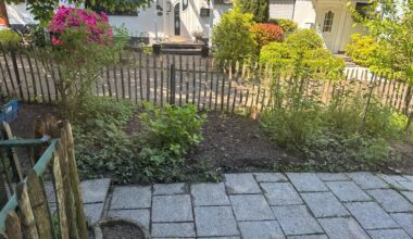Was mache ich mit so einem schattigen Beet? Meine Frau hat neulich Rindenmulch drauf gekippt, aber das hilft natürlich nicht, da das ganze Unkraut durchkommt. Was könnte man hier pflanzen? Ist offensichtlich ein sehr schattiges Plätzchen.