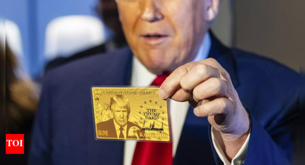 Elon Musk provides update on Donald Trump's $5 million gold card, says 'quiet trial' is going on