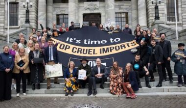 Imported animal products should meet NZ welfare rules