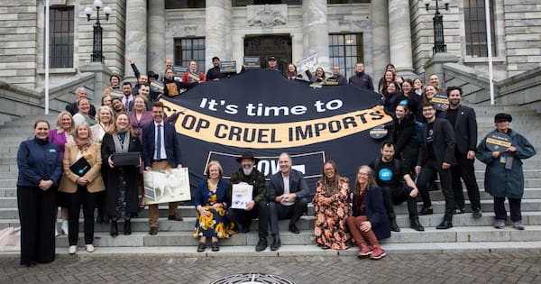 Imported animal products should meet NZ welfare rules