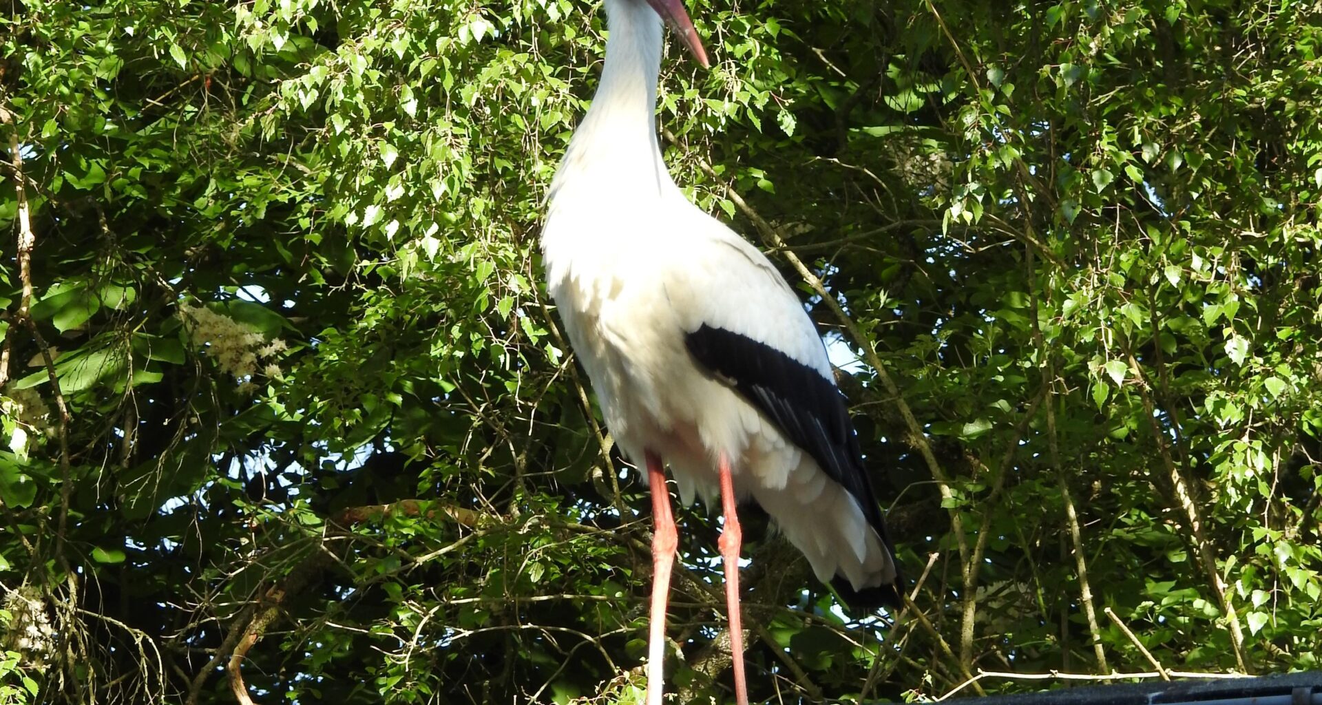 Besucher bei der Arbeit 😍