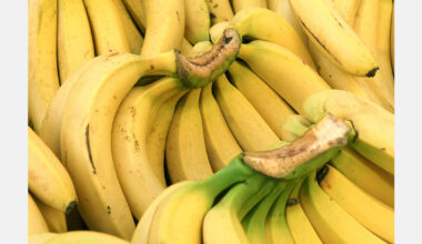 Climate change threatens 60% of Latin America’s bananas