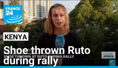Shoe thrown at Kenya's Ruto during rally, government condemns 'shameful' incident • FRANCE 24