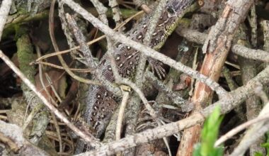 Wen habe ich denn hier gefunden?