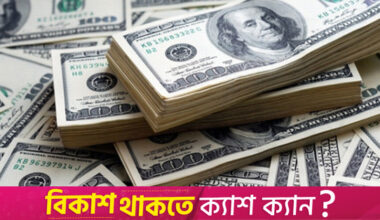 Remittance inflow breaks record, hits $25b in 10 months as hundi dominance declines