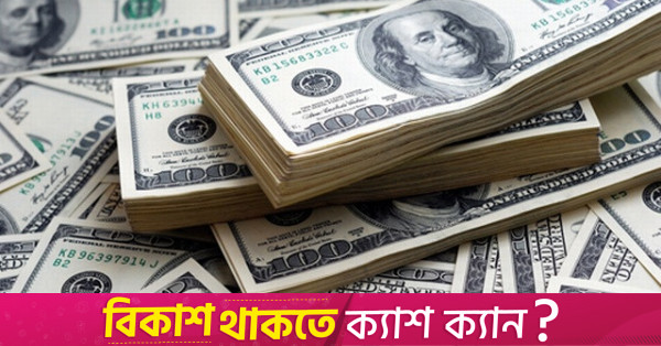 Remittance inflow breaks record, hits $25b in 10 months as hundi dominance declines