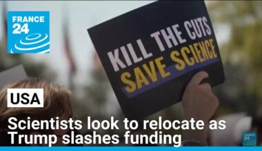 US researchers look to relocate as Trump slashes funding • FRANCE 24 English