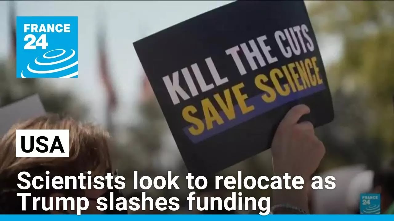 US researchers look to relocate as Trump slashes funding • FRANCE 24 English