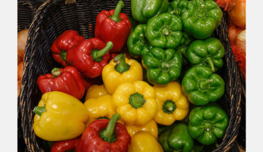 China led pepper production in 2023, and Spain ranked fifth