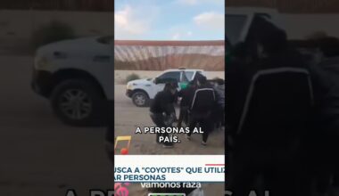Coyotes usan camioneta clonada de migración para traficar personas | Noticias ETV