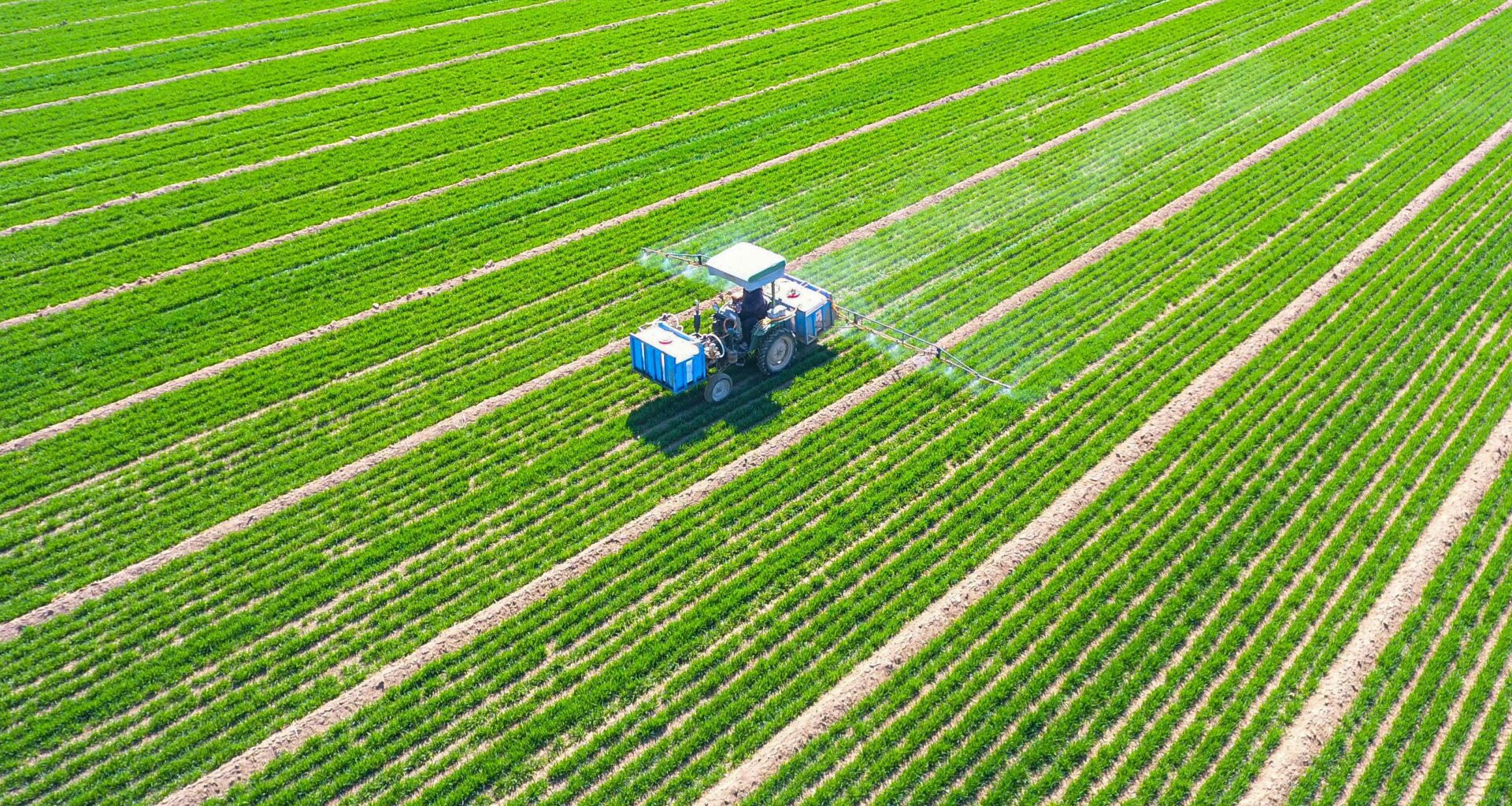 CTGB: 'Pesticiden moeten strenger worden beoordeeld op kankerrisico'