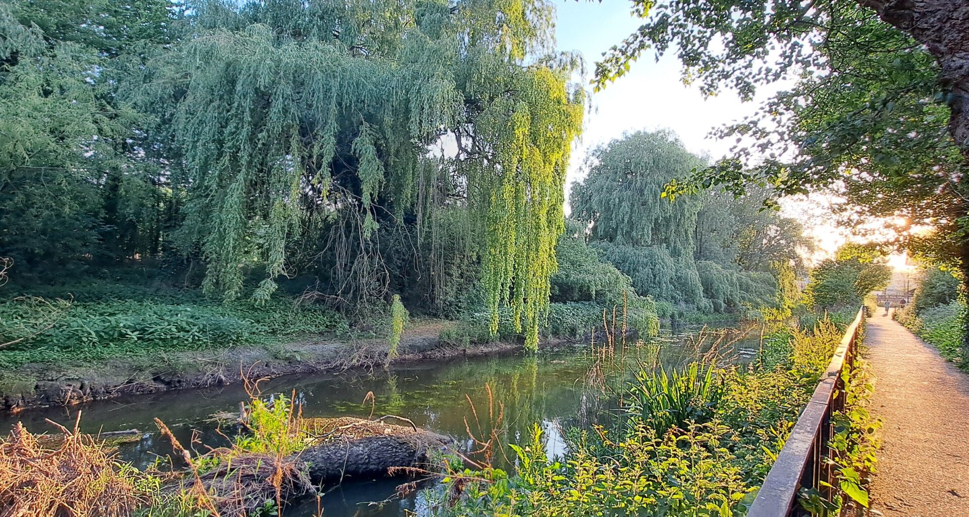 Evening stroll.