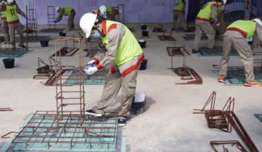 Japan mulls expanding industries eligible for foreign skilled workers