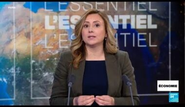 Menaces sur le secteur de la cryptomonnaie • FRANCE 24