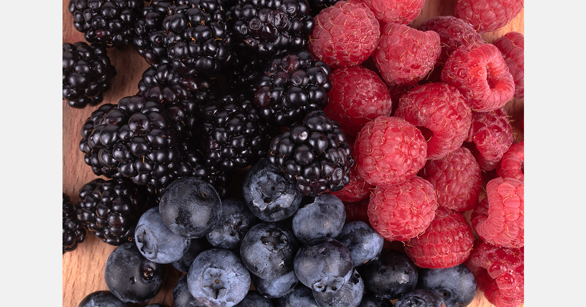 Oekraïense producenten van diepgevroren zachtfruit zoeken handelspartners in Nederland