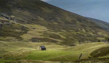 Croft