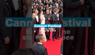 Emma Stone stung by a bee on the red carpet • FRANCE 24 English