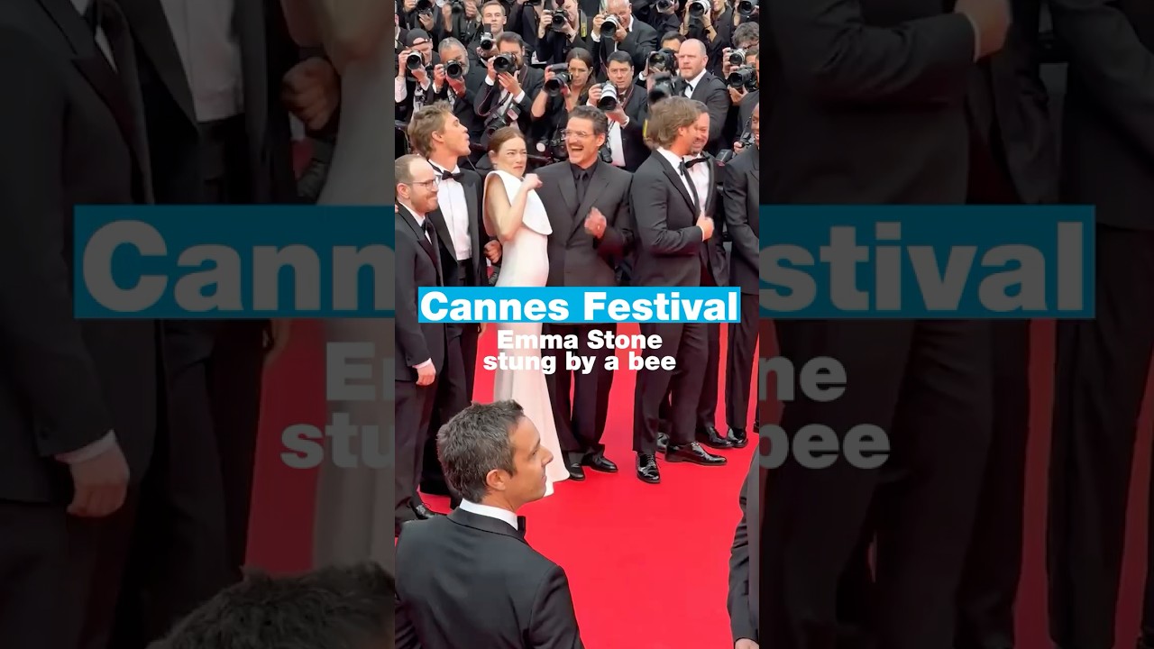 Emma Stone stung by a bee on the red carpet • FRANCE 24 English