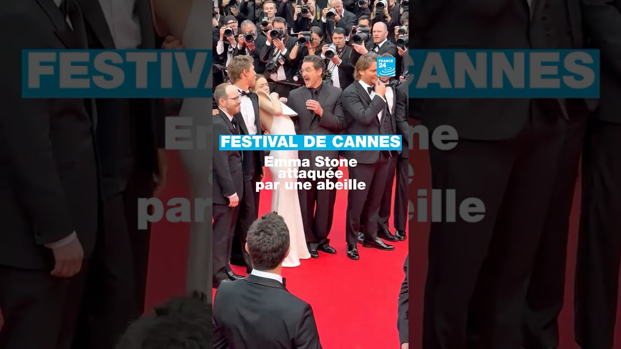 Festival de Cannes : Emma Stone attaquée par une abeille • FRANCE 24